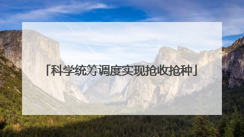 科学统筹调度实现抢收抢种