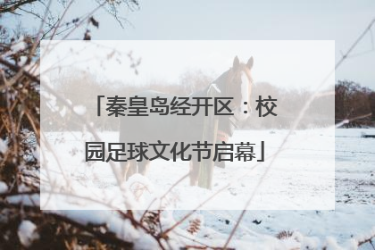 秦皇岛经开区：校园足球文化节启幕