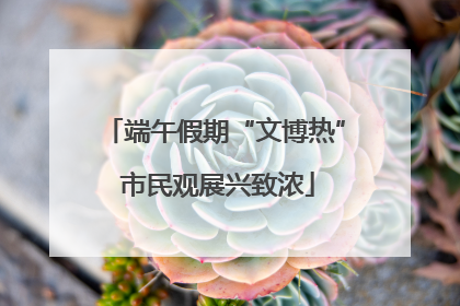 端午假期“文博热” 市民观展兴致浓