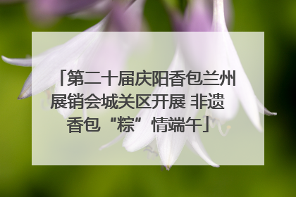 第二十届庆阳香包兰州展销会城关区开展 非遗香包“粽”情端午