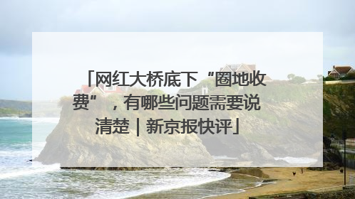 网红大桥底下“圈地收费”，有哪些问题需要说清楚｜新京报快评
