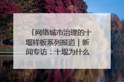 网络城市治理的十堰样板系列报道｜新闻专访：十堰为什么成为“黑马型”城市治理网络维度典型
