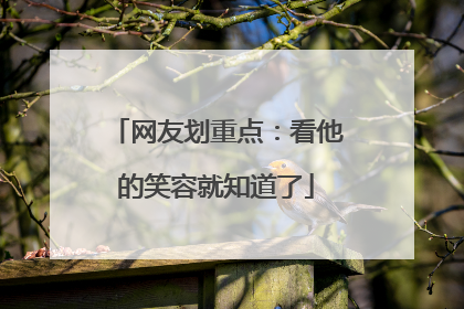 网友划重点：看他的笑容就知道了