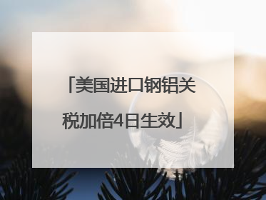美国进口钢铝关税加倍4日生效