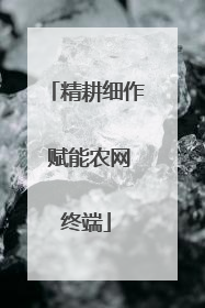 精耕细作 赋能农网终端