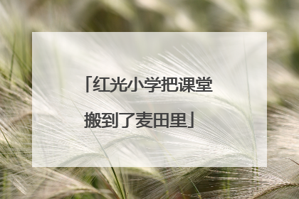 红光小学把课堂搬到了麦田里