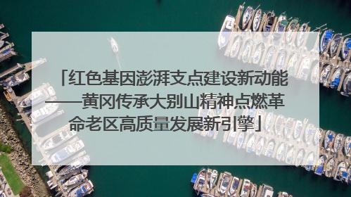 红色基因澎湃支点建设新动能——黄冈传承大别山精神点燃革命老区高质量发展新引擎