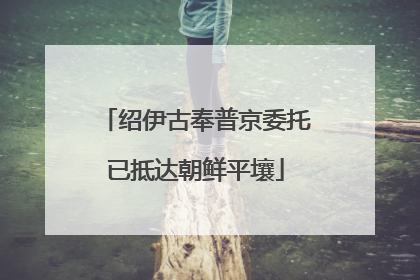 绍伊古奉普京委托已抵达朝鲜平壤