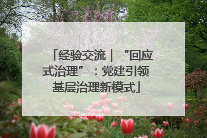 经验交流｜“回应式治理”：党建引领基层治理新模式
