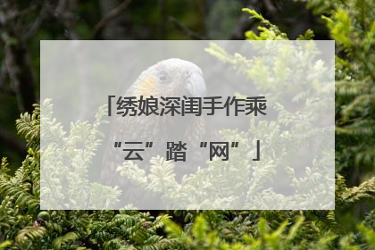 绣娘深闺手作乘“云”踏“网”