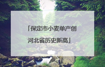 保定市小麦单产创河北省历史新高