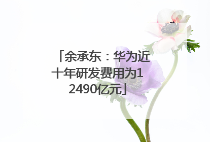 余承东：华为近十年研发费用为12490亿元