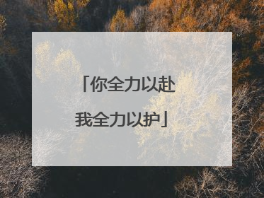 你全力以赴 我全力以护