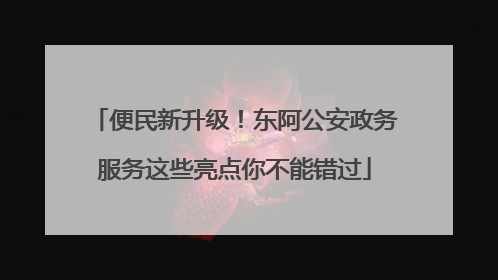 便民新升级！东阿公安政务服务这些亮点你不能错过