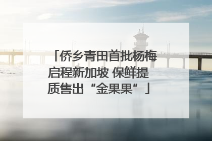 侨乡青田首批杨梅启程新加坡 保鲜提质售出“金果果”