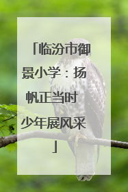 临汾市御景小学：扬帆正当时 少年展风采