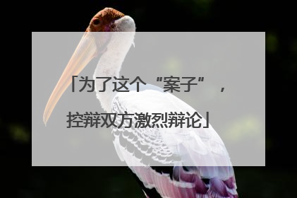 为了这个“案子”，控辩双方激烈辩论