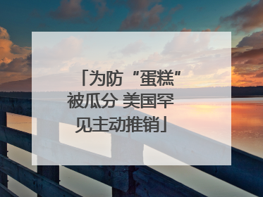 为防“蛋糕”被瓜分 美国罕见主动推销