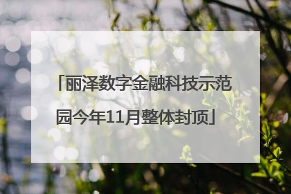 丽泽数字金融科技示范园今年11月整体封顶