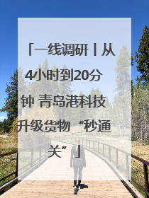 一线调研丨从4小时到20分钟 青岛港科技升级货物“秒通关”