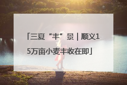 三夏“丰”景｜顺义15万亩小麦丰收在即