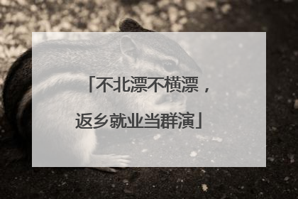不北漂不横漂，返乡就业当群演