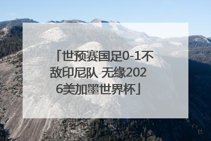 世预赛国足0-1不敌印尼队 无缘2026美加墨世界杯