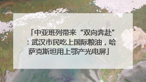 中亚班列带来“双向奔赴”：武汉市民吃上国际粮油，哈萨克斯坦用上鄂产光电屏