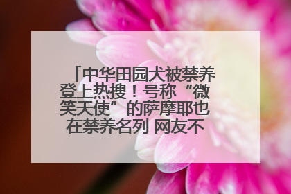 中华田园犬被禁养登上热搜！号称“微笑天使”的萨摩耶也在禁养名列 网友不解西安多部门回应