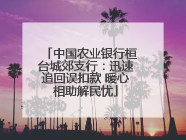 中国农业银行桓台城郊支行：迅速追回误扣款 暖心相助解民忧
