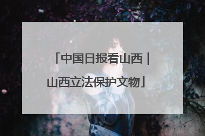 中国日报看山西｜山西立法保护文物