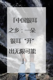 中国银耳之乡：一朵银耳“开”出无限可能