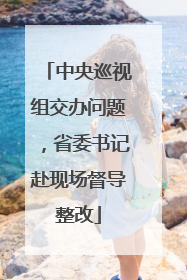 中央巡视组交办问题，省委书记赴现场督导整改