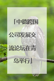 中德跨国公司发展交流论坛在青岛举行