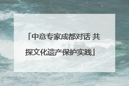 中意专家成都对话 共探文化遗产保护实践