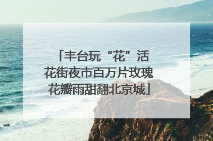 丰台玩“花”活 花街夜市百万片玫瑰花瓣雨甜翻北京城