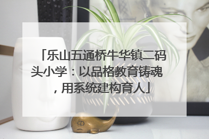 乐山五通桥牛华镇二码头小学：以品格教育铸魂，用系统建构育人