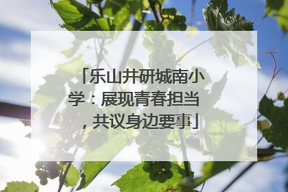 乐山井研城南小学：展现青春担当，共议身边要事