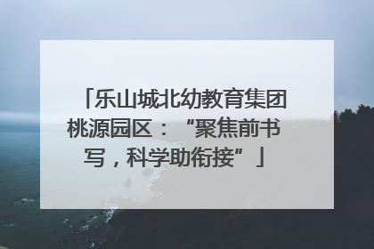 乐山城北幼教育集团桃源园区：“聚焦前书写，科学助衔接”