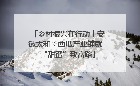 乡村振兴在行动丨安徽太和：西瓜产业铺就“甜蜜”致富路