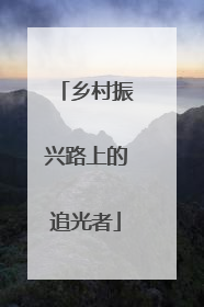 乡村振兴路上的追光者