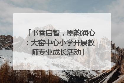 书香启智，墨韵润心：大窑中心小学开展教师专业成长活动