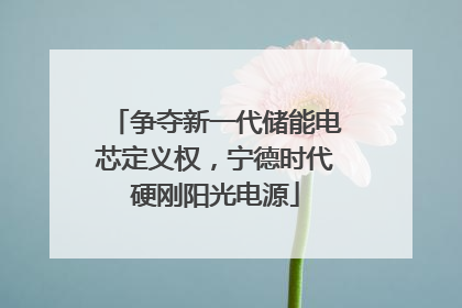 争夺新一代储能电芯定义权，宁德时代硬刚阳光电源