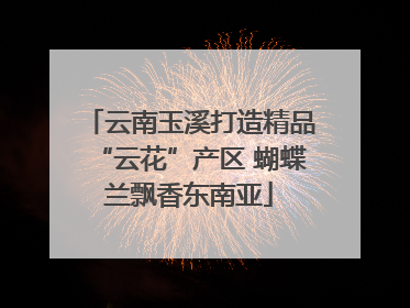 云南玉溪打造精品“云花”产区 蝴蝶兰飘香东南亚