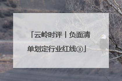 云岭时评丨负面清单划定行业红线③