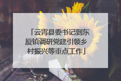 云霄县委书记到东厦镇调研党建引领乡村振兴等重点工作