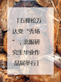 五棵松万达变“秀场”，北服研究生毕业作品展举行
