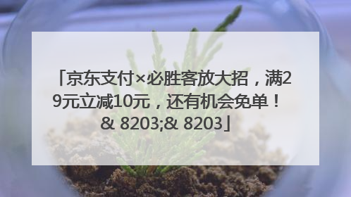 京东支付×必胜客放大招，满29元立减10元，还有机会免单！& 8203;& 8203
