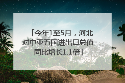 今年1至5月，河北对中亚五国进出口总值同比增长1.1倍