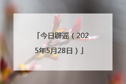 今日辟谣（2025年5月28日）
